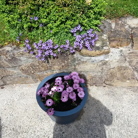 Frühstückspension Carraig Rua 3*