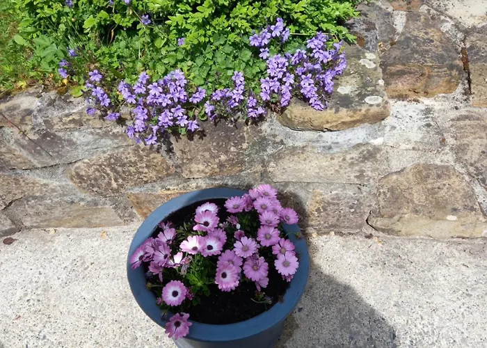 Bed & Breakfast Carraig Rua 3*